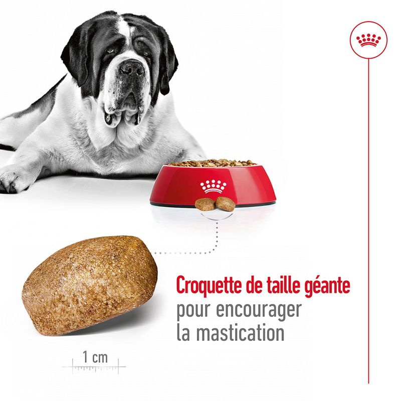 Royal Canin Giant Adult for dogs 15 KG