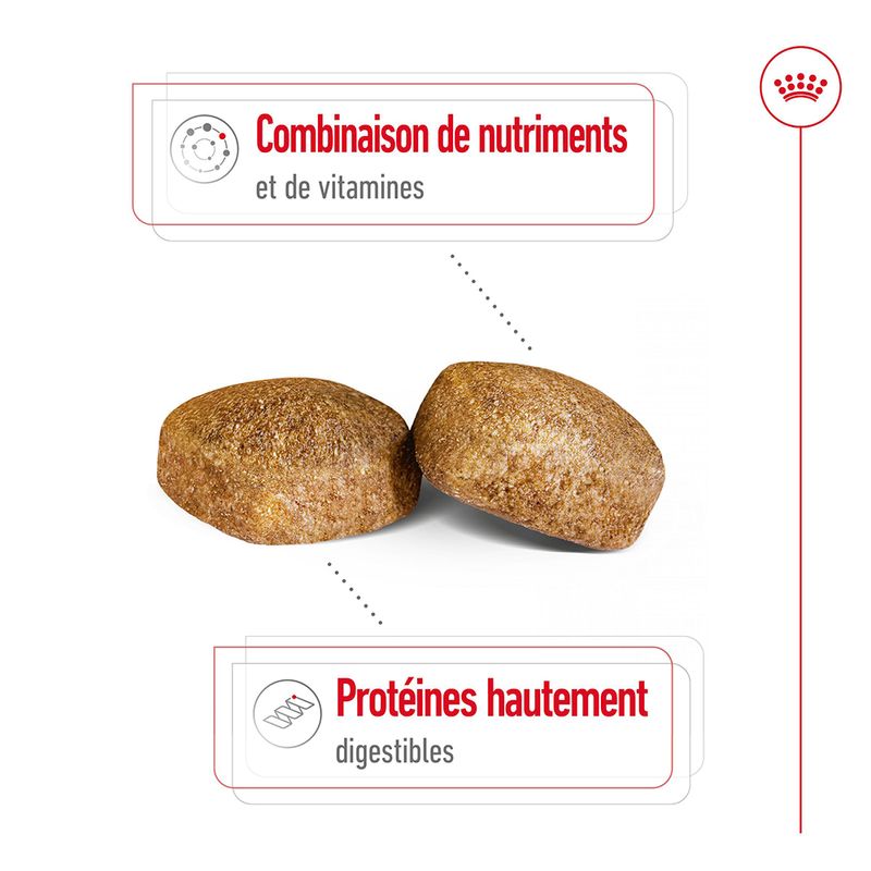 Royal Canin Giant Adult for dogs 15 KG