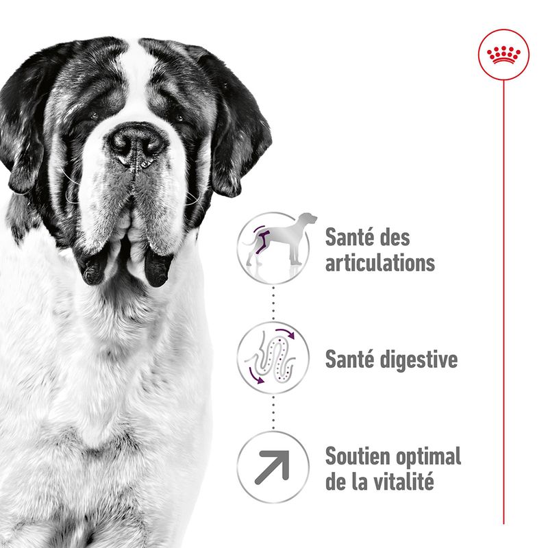 Royal Canin Giant Adult for dogs 15 KG