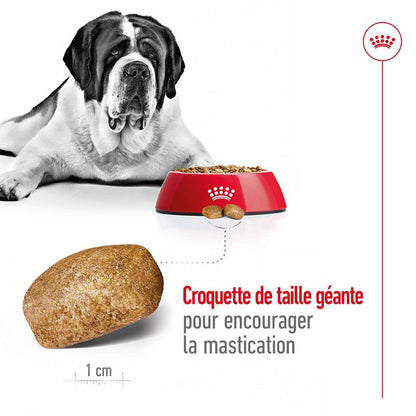 Royal Canin Giant Adult for dogs 15 KG